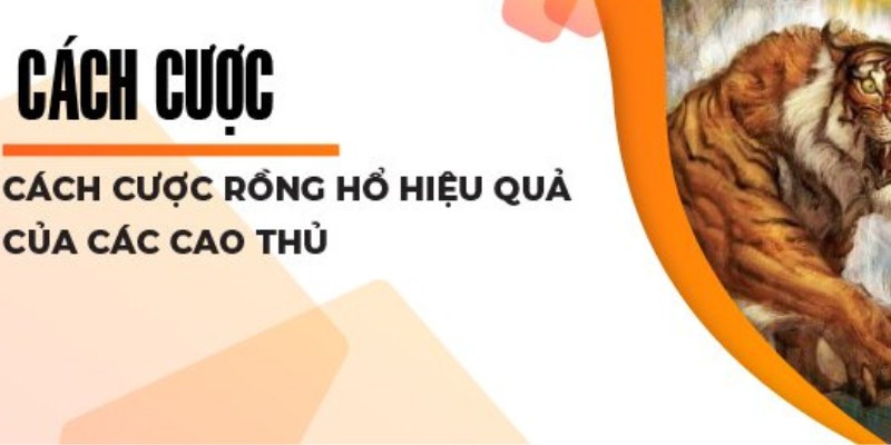 Hướng Dẫn Cách Cược Rồng Hổ 68 Game Bài Chi Tiết 3 Chia sẻ cách cược Rồng Hổ bất bại