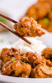 CRIPSY HONEY CHICKEN - Image 8